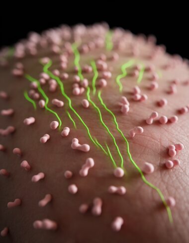 Minha dica escolhida é: Para acne e rosácea, recomenda-se uma combinação de cuidado com o microbioma, uso de agentes anti-inflamatórios suaves e hidratação balanceada, evitando formulações agressivas que possam desregular a microbiota natural da pele. Esta abordagem mais gentil respeita o equilíbrio natural da pele enquanto trata efetivamente essas condições inflamatórias comuns.